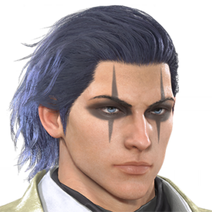 T_UI_CUS_CH_item_ctr_fap_m_endbiker