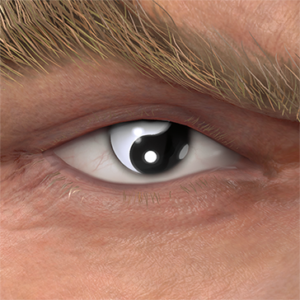 T_UI_CUS_CH_item_grf_eye_taijitu