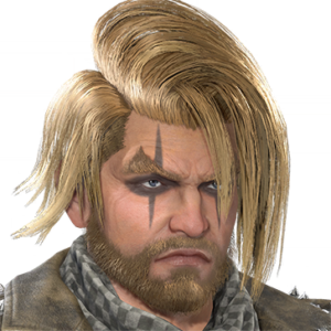 T_UI_CUS_CH_item_grf_fap_m_endbiker