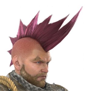 T_UI_CUS_CH_item_grf_har_m_endbiker