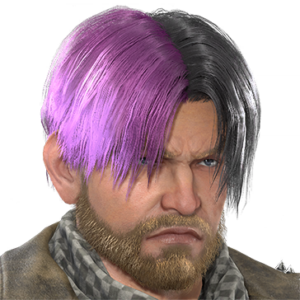 T_UI_CUS_CH_item_grf_har_m_short_2c