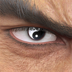 T_UI_CUS_CH_item_grl_eye_taijitu