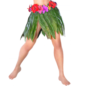 T_UI_CUS_CH_item_hms_btm_f_tropical