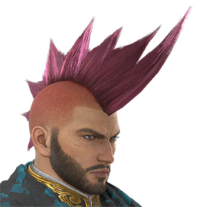 T_UI_CUS_CH_item_hrs_har_m_endbiker