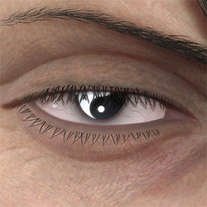 T_UI_CUS_CH_item_kmd_eye_taijitu