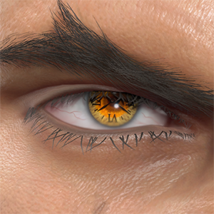 T_UI_CUS_CH_item_lzd_eye_dial