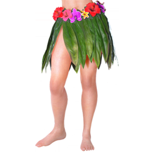 T_UI_CUS_CH_item_mnt_btm_f_tropical