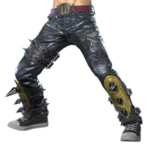 T_UI_CUS_CH_item_pig_btm_m_endbiker