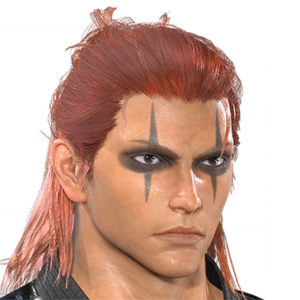 T_UI_CUS_CH_item_snk_fap_m_endbiker