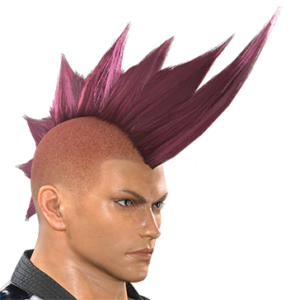 T_UI_CUS_CH_item_snk_har_m_endbiker