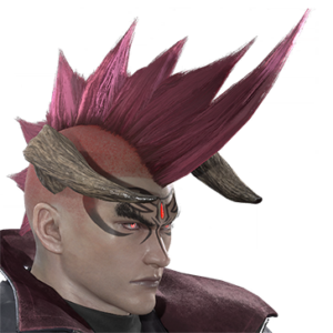 T_UI_CUS_CH_item_swl_har_m_endbiker
