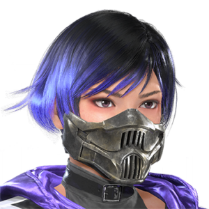 T_UI_CUS_CH_item_zbr_fah_f_endbiker