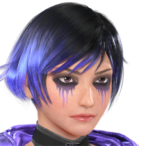 T_UI_CUS_CH_item_zbr_fap_f_endbiker
