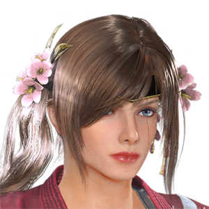 T_UI_CUS_CH_item_cbr_har_f_armor_miko