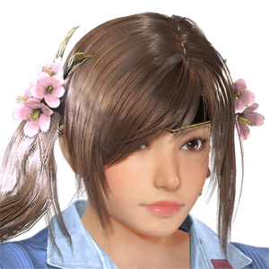 T_UI_CUS_CH_item_der_har_f_armor_miko