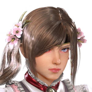 T_UI_CUS_CH_item_hms_har_f_armor_miko