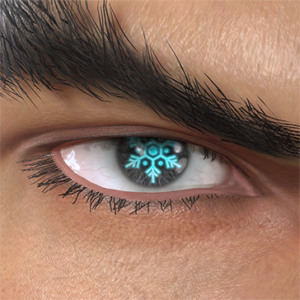 T_UI_CUS_CH_item_ant_eye_snow_crystal