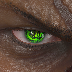 T_UI_CUS_CH_item_bbn_eye_kanzi_ryu