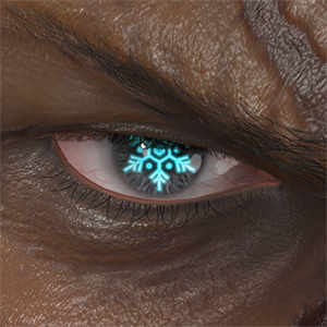 T_UI_CUS_CH_item_bbn_eye_snow_crystal