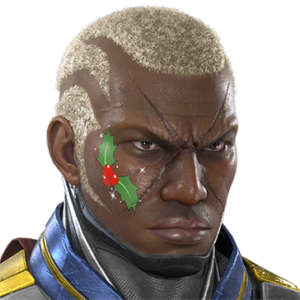 T_UI_CUS_CH_item_bbn_fap_europeanholly
