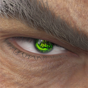 T_UI_CUS_CH_item_bee_eye_kanzi_ryu