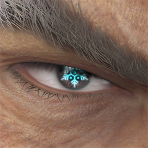T_UI_CUS_CH_item_bee_eye_snow_crystal