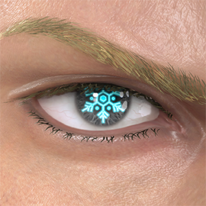 T_UI_CUS_CH_item_bsn_eye_snow_crystal