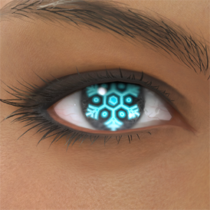 T_UI_CUS_CH_item_cat_eye_snow_crystal