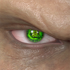 T_UI_CUS_CH_item_ccn_eye_kanzi_ryu