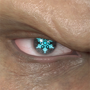 T_UI_CUS_CH_item_ccn_eye_snow_crystal