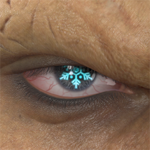T_UI_CUS_CH_item_cht_eye_snow_crystal