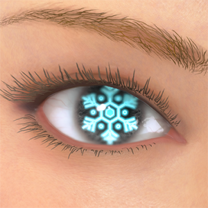 T_UI_CUS_CH_item_der_eye_snow_crystal