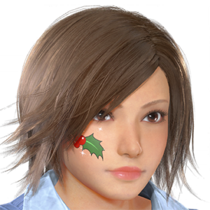 T_UI_CUS_CH_item_der_fap_europeanholly