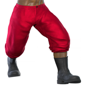 T_UI_CUS_CH_item_dog_btm_m_santa
