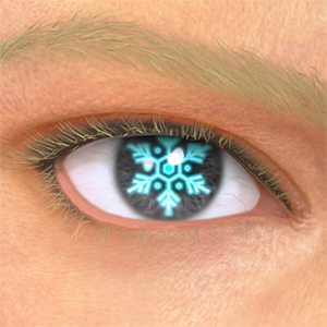 T_UI_CUS_CH_item_ghp_eye_snow_crystal