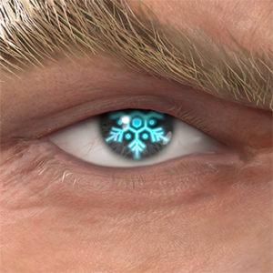 T_UI_CUS_CH_item_grf_eye_snow_crystal