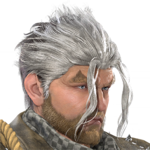 T_UI_CUS_CH_item_grf_har_m_combedback_2c