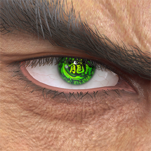 T_UI_CUS_CH_item_grl_eye_kanzi_ryu