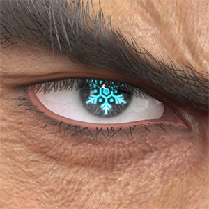 T_UI_CUS_CH_item_grl_eye_snow_crystal