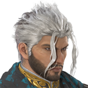 T_UI_CUS_CH_item_hrs_har_m_combedback_2c
