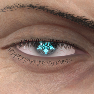T_UI_CUS_CH_item_kmd_eye_snow_crystal