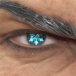 T_UI_CUS_CH_item_lon_eye_snow_crystal
