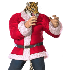 T_UI_CUS_CH_item_pgn_bdu_m_santa