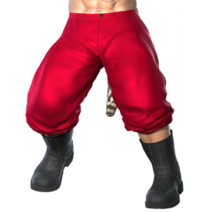 T_UI_CUS_CH_item_pgn_btm_m_santa