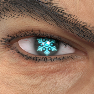 T_UI_CUS_CH_item_pig_eye_snow_crystal