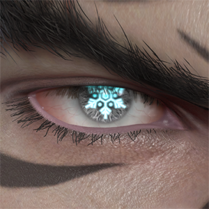 T_UI_CUS_CH_item_swl_eye_snow_crystal