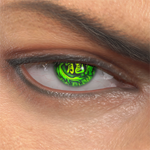 T_UI_CUS_CH_item_wlf_eye_kanzi_ryu