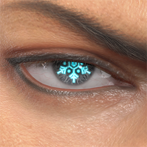 T_UI_CUS_CH_item_wlf_eye_snow_crystal