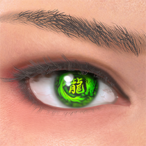 T_UI_CUS_CH_item_zbr_eye_kanzi_ryu