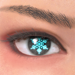 T_UI_CUS_CH_item_zbr_eye_snow_crystal
